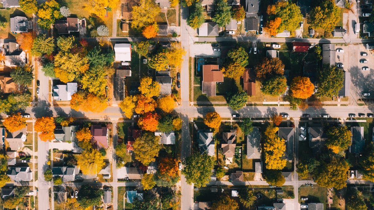 arbres  habitations