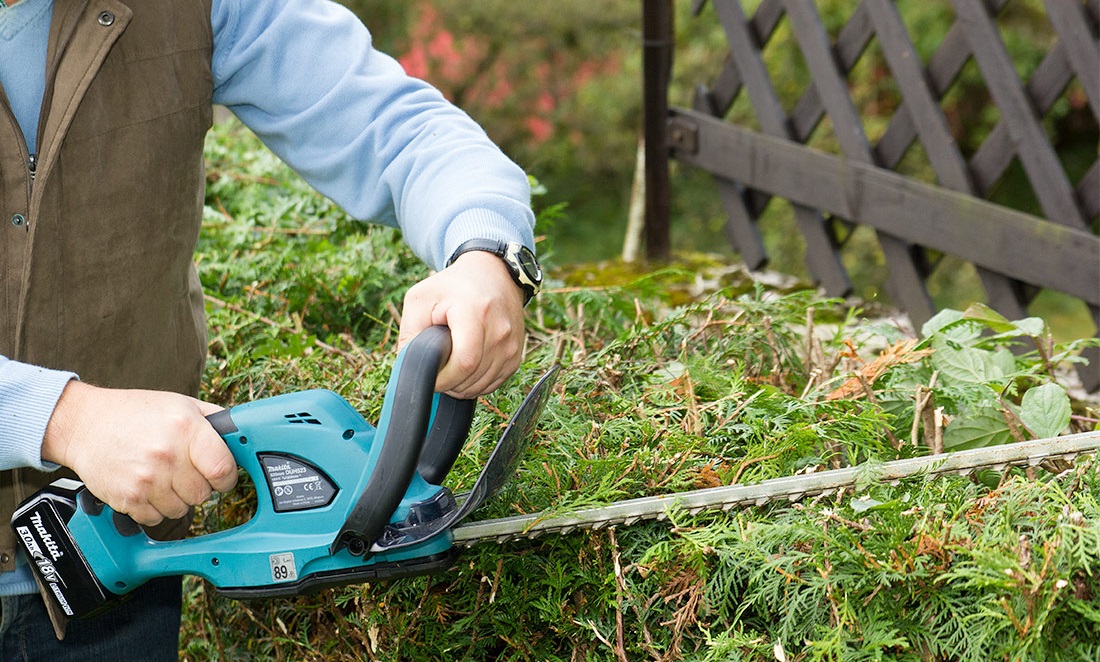 Entretien de jardin : ce qu’il faut faire en septembre